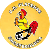 https://img.ojsm.com/img/football/team/63b0933cc303927659846a4ed54b1522.png