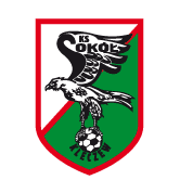 https://img.ojsm.com/img/football/team/e6a8908dd206e2ea02d9803c82c60bba.png